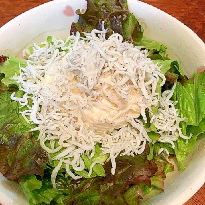 簡単ヘルシー 低カロリー しらす豆腐サラダ レシピ 作り方 By ねこみみ22 楽天レシピ 簡単ヘルシー 低カロリー しらす豆腐サラダ レシピ 作り方 By ねこみみ22 楽天レシピ